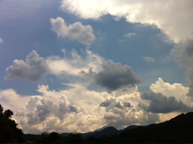 b0147128_173607.jpg