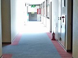 d0086228_10554663.jpg