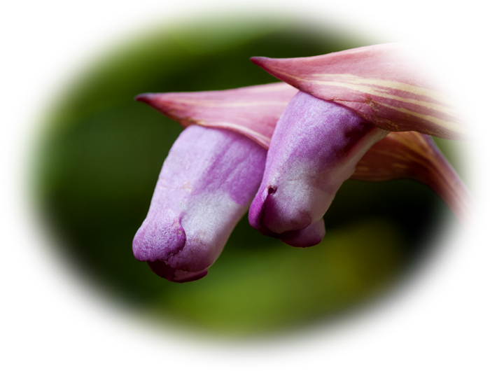 d0029829_19522152.png