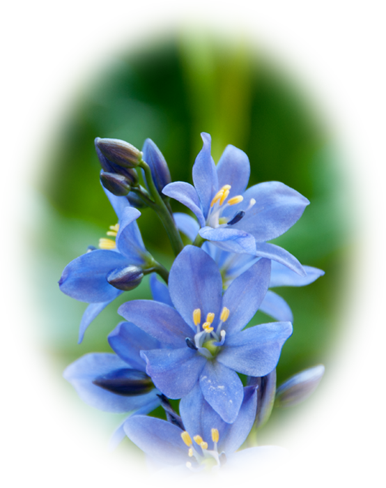 d0029829_958368.png
