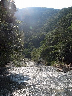 c0153732_102143.jpg