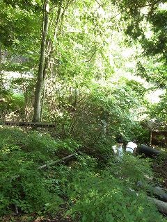 c0153732_9562211.jpg