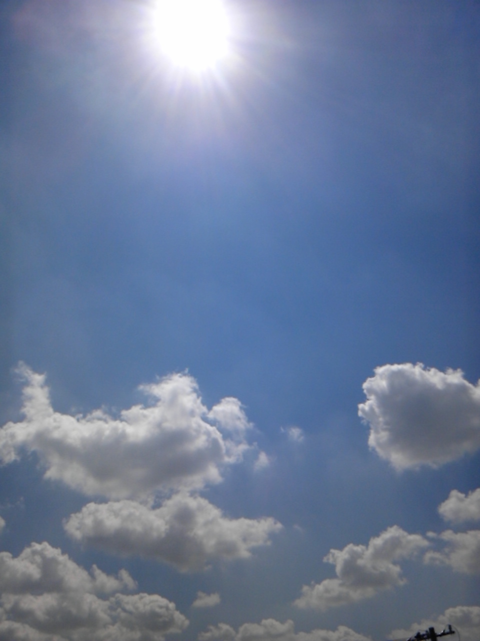 a0163738_0503399.jpg