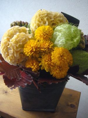 e0100046_22324823.jpg