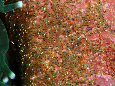 d0058549_17341363.jpg