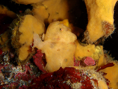 d0058549_1737919.jpg