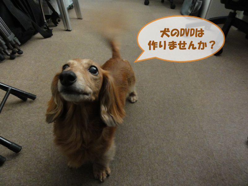 c0121550_1716499.jpg