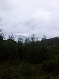 e0106251_17277.jpg