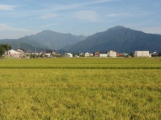 7/30日の大水の爪跡_a0084753_16383870.jpg
