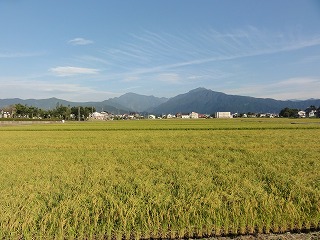 7/30日の大水の爪跡_a0084753_16384769.jpg