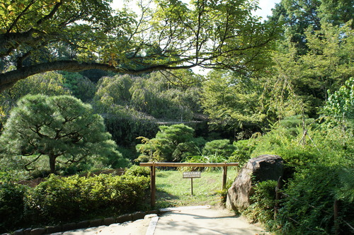 d0226154_22181737.jpg