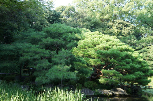 d0226154_22184833.jpg
