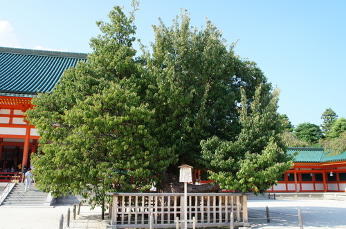d0226154_2434543.jpg