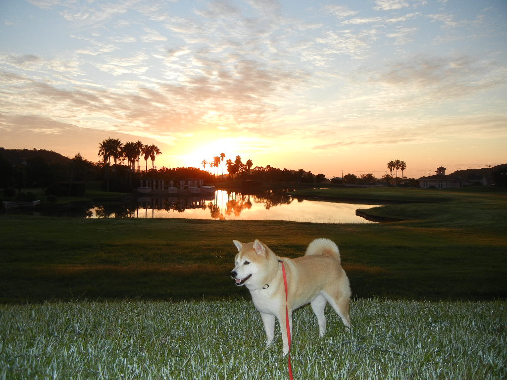2011年9月8日(木)太陽が燃えている!_f0060461_923313.jpg