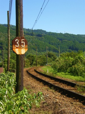 大井川鉄道　「川根温泉笹間渡駅」～東京へ_b0056570_033058.jpg