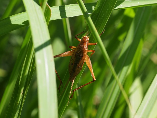 b0135573_8542535.jpg