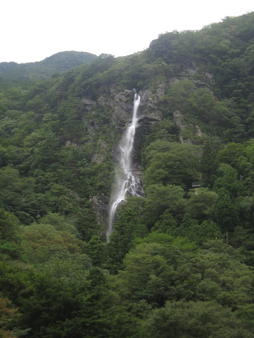 c0154876_11316.jpg