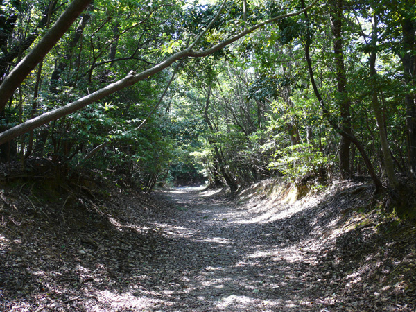e0056880_9554128.jpg