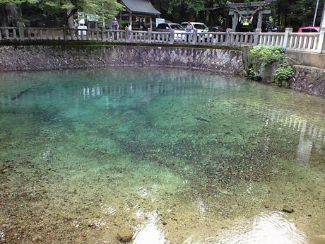 幽玄ツアー　（雪舟庭／秋吉台）_b0005281_1736354.jpg