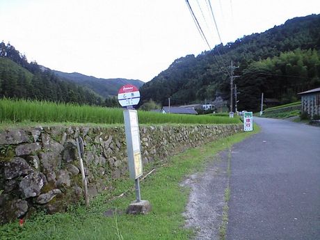 b0005281_17501052.jpg