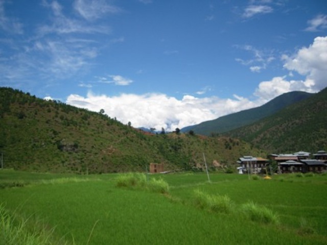 c0051991_22998.jpg