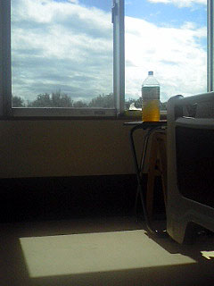 c0004193_1551196.jpg