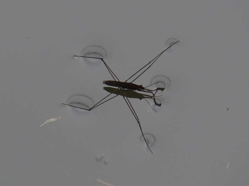 f0204094_044245.jpg