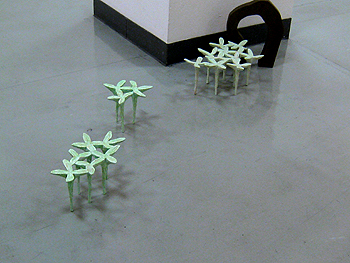 〜9/13 近藤英樹展「種子の記憶」_f0106896_1451039.jpg