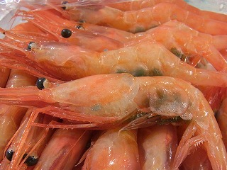 甘エビの親子!_f0157910_15293838.jpg