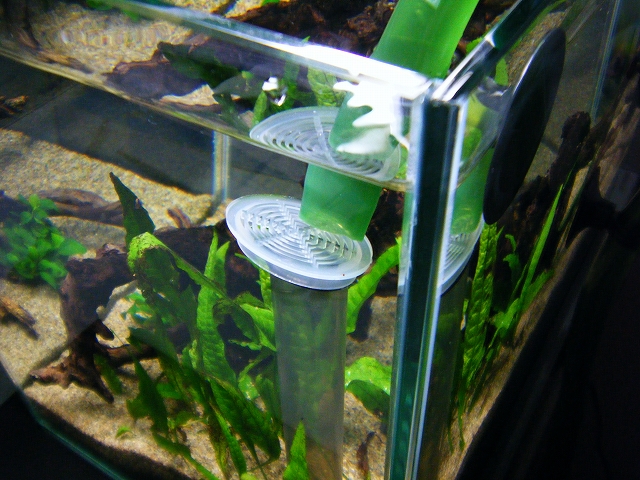 スーパー副産物 気ままにアクア