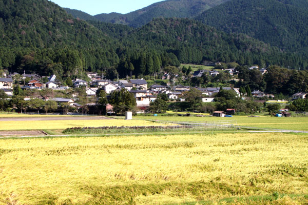 大原の里に秋が_e0048413_1723867.jpg