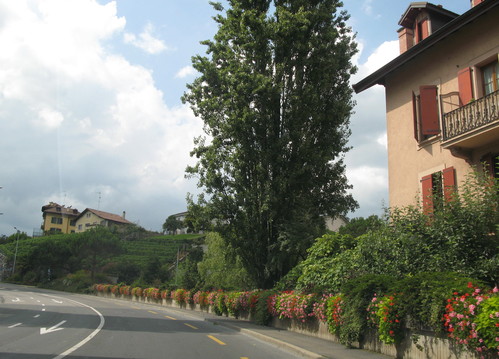 b0103915_07128.jpg