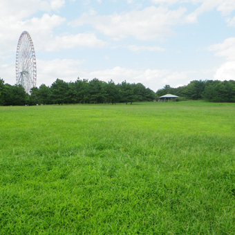 f0030115_0442617.jpg