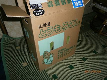 d0065324_15194338.jpg