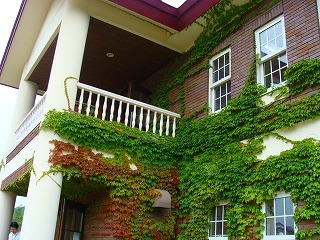 f0170524_17423573.jpg