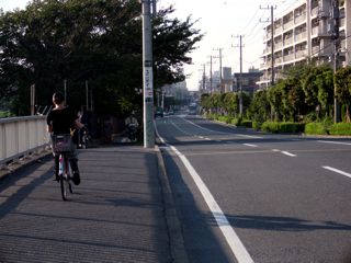 池への旅／行徳挫折編_a0136725_1556207.jpg