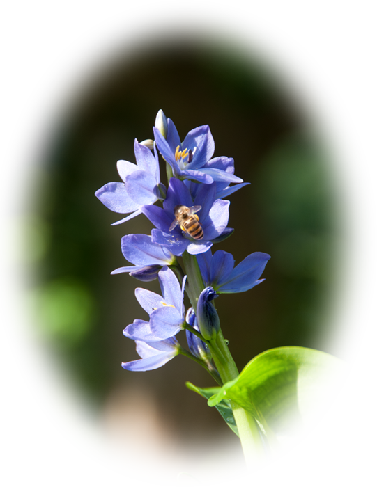 d0029829_7153611.png
