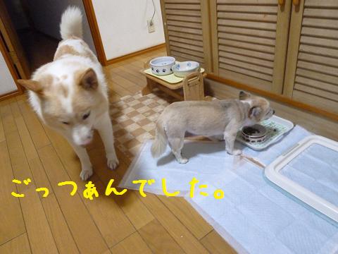 b0138430_20352364.jpg