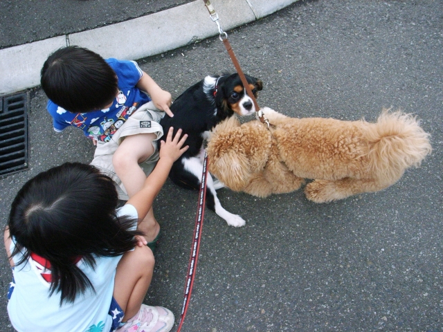 今日もフランにいさんと・・_c0051132_20343617.jpg