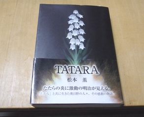 TATARA_f0194533_944969.jpg