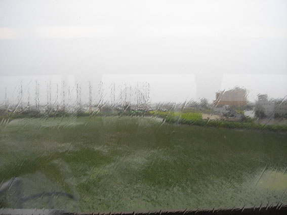 d0069235_0203211.jpg