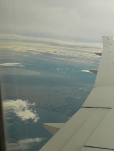 d0069235_06342.jpg