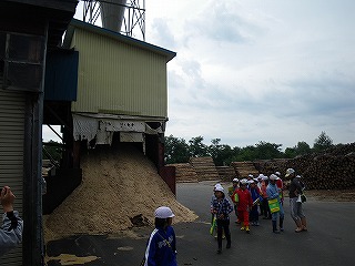 下川小学校4年生　間伐体験と木工場見学_b0196837_16015.jpg