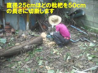 f0031037_20161572.jpg