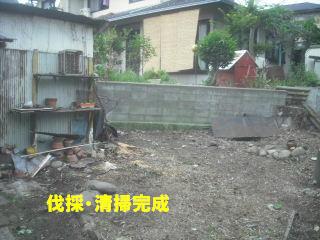 伐採作業のナデシコジャパン_f0031037_2022100.jpg