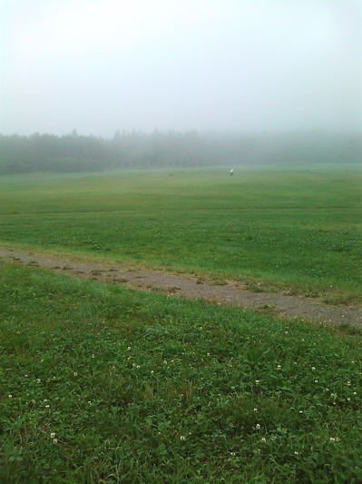 d0155148_20415061.jpg