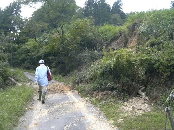 f0002248_2012231.jpg