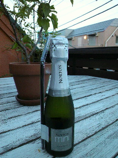 f0188652_1953206.jpg