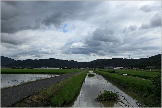 ９月４日　岡山市南区_b0210154_1938521.jpg