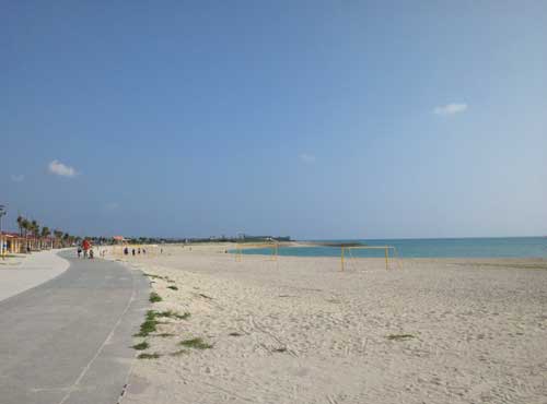 b0101263_13371753.jpg